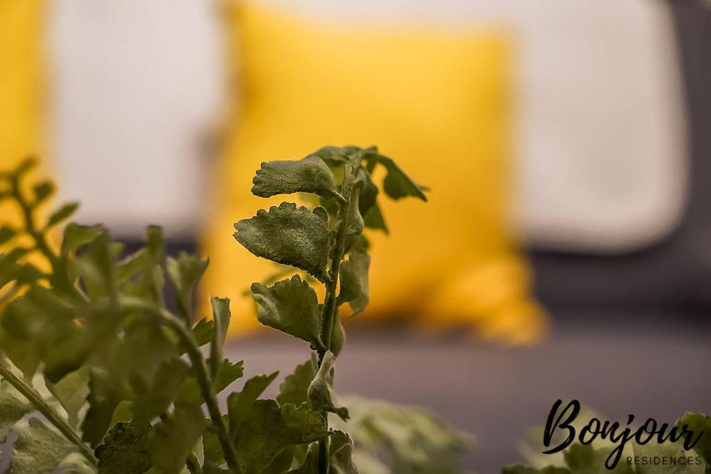 Spacious 2Br-1Ba - Grassmarket - Free Parking By Bonjour Residences Edinburgh Bagian luar foto